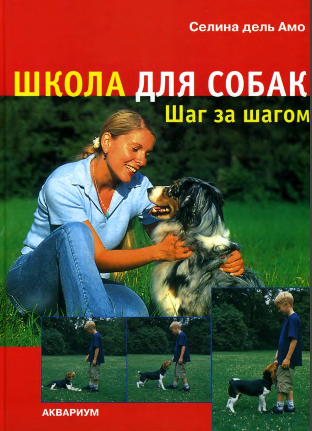школа для собак