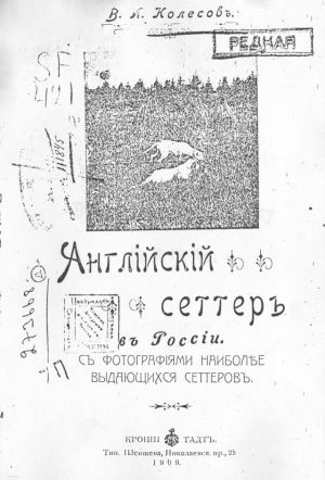 Английский сеттер в россии 1909